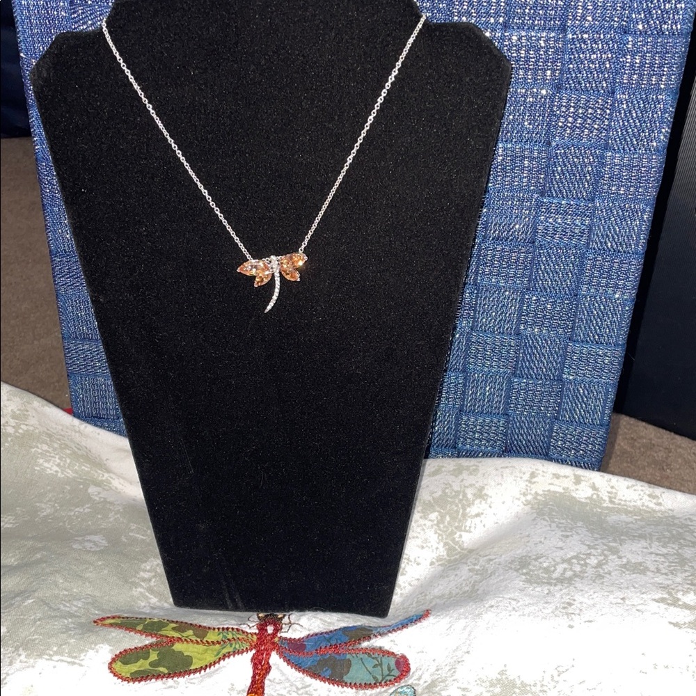 Dragonfly Pendant w/ 16 “ chain & World Market Dragonfly Dish Towel’